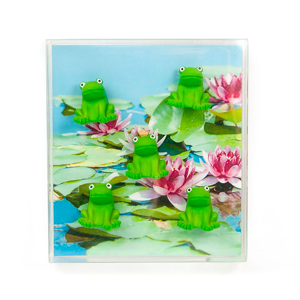 Frø magneter, 5-pak - køleskabsmagneter