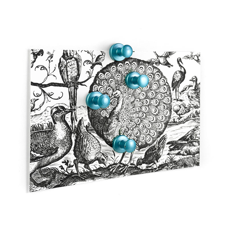 Kraftig magnet mini-max, SKYBLUE 4-pak