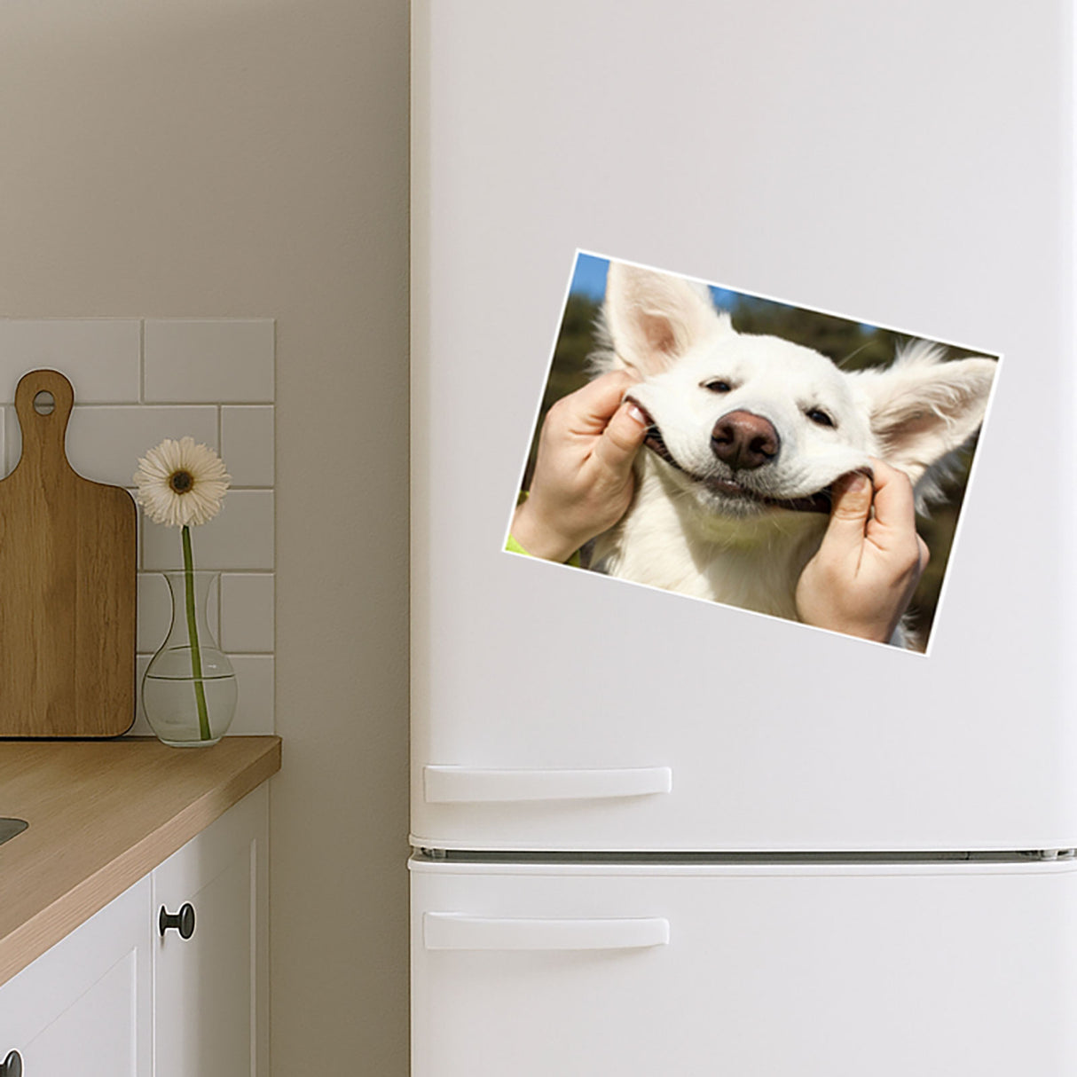 Fotomagnet A4 (1,0 mm.)