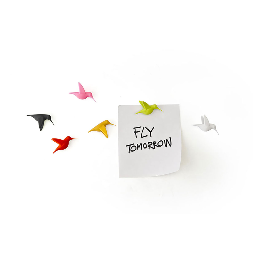 Hummingbird mix, 6-pak - køleskabsmagneter