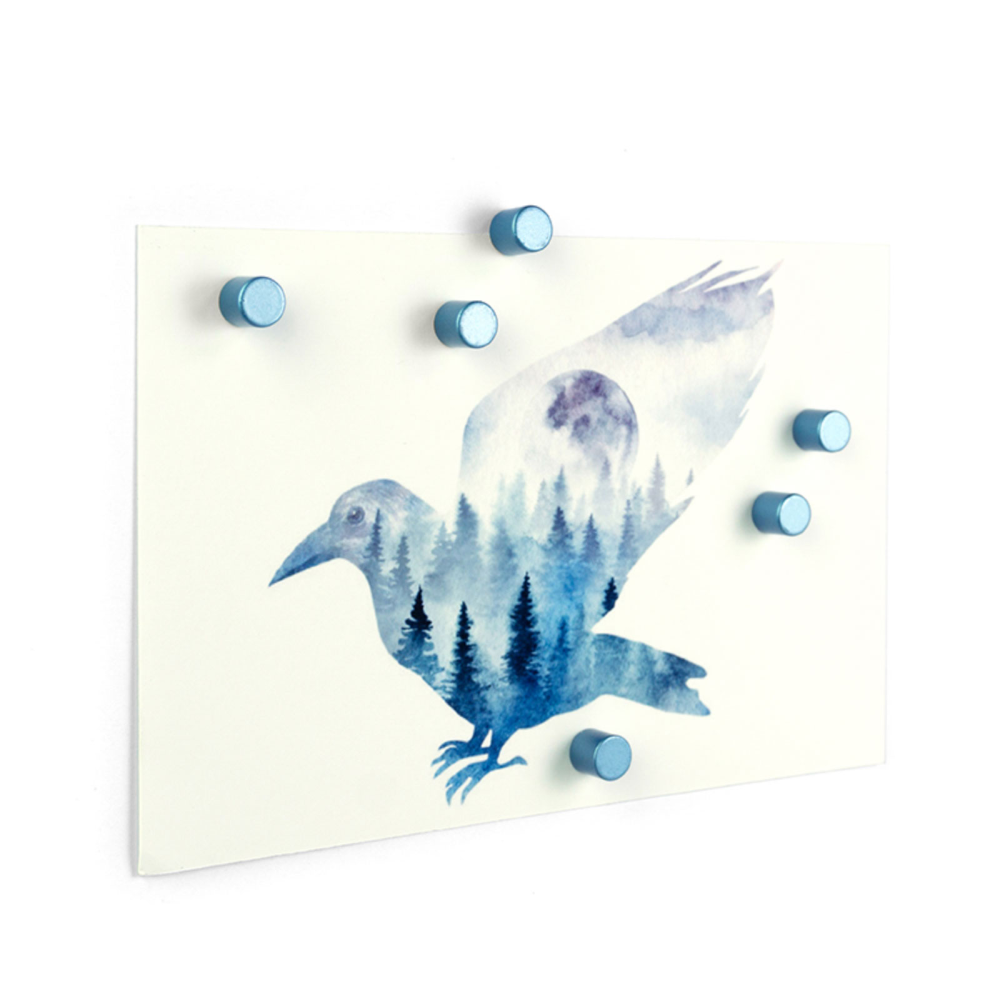 BOLT power magneter 8x8 mm., 6-pak SKYBLUE