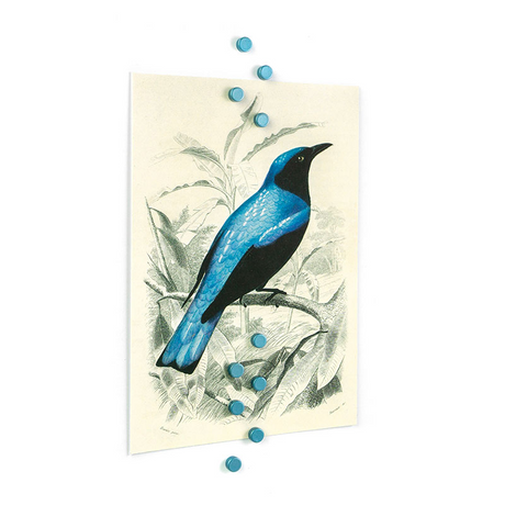 Farvede power magneter 6x3 mm., 10-pak SKYBLUE