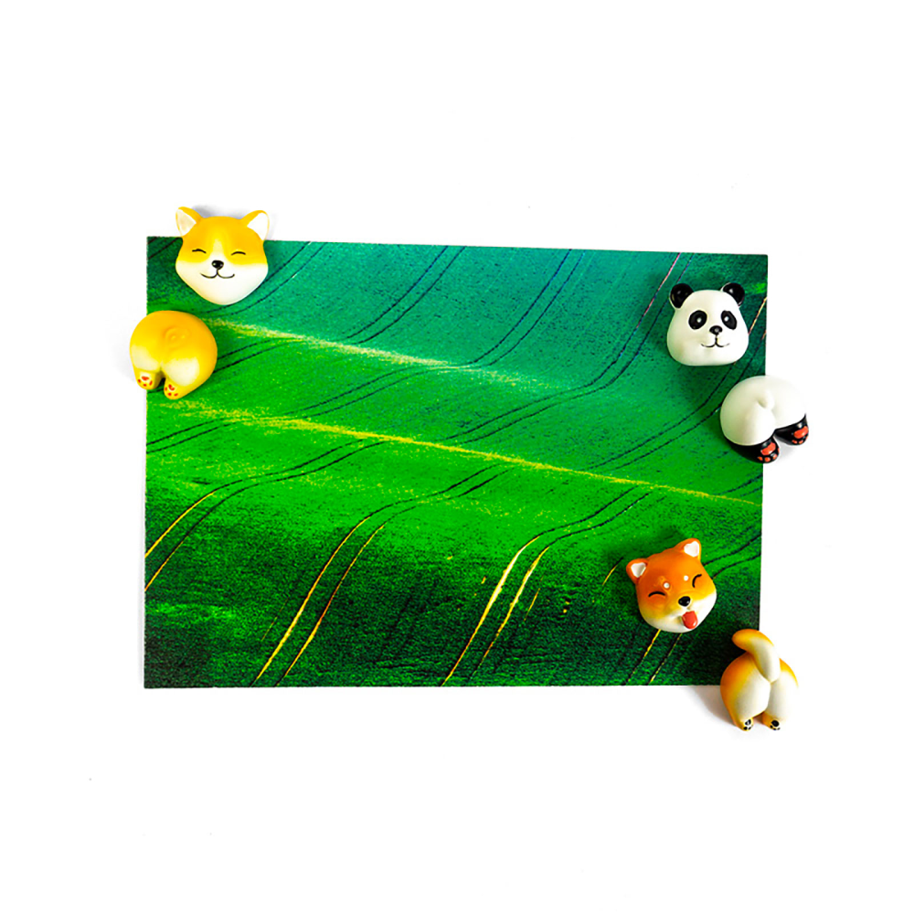 CUTE dyr, 6-pak - køleskabsmagneter