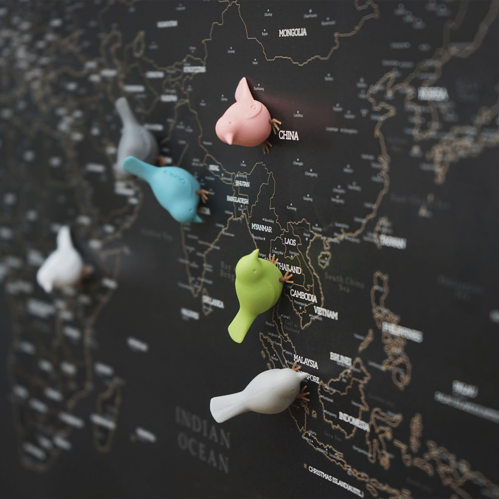 Hummingbird pastel, 6-pak - køleskabsmagneter