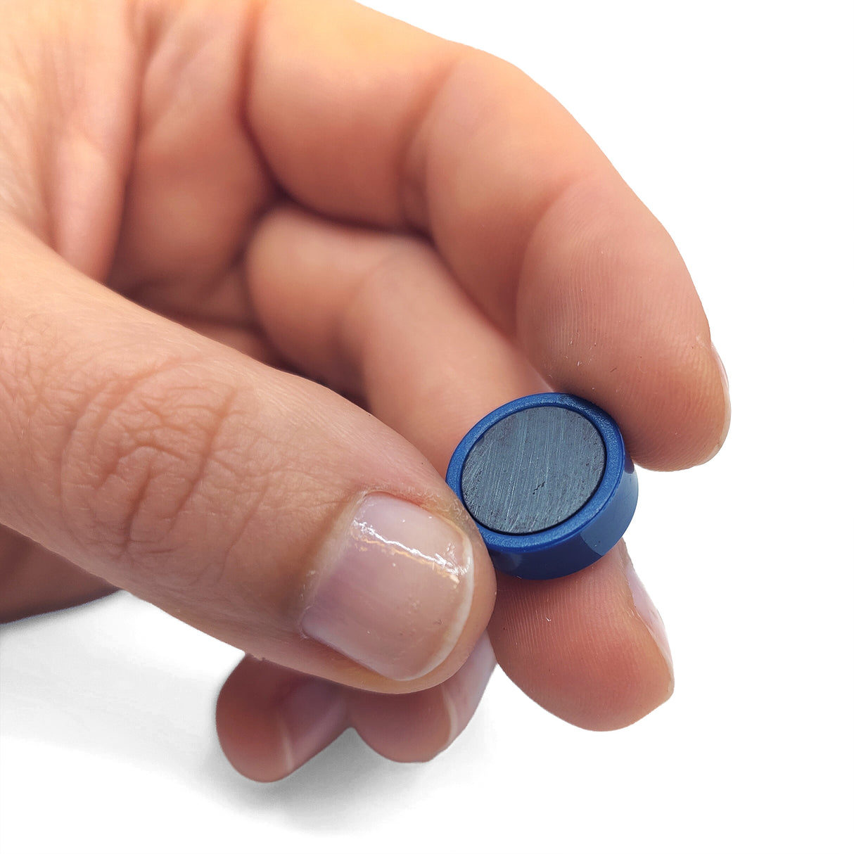 Magnordic Kontormagnet, Blå Ø15 mm. (10-pak)