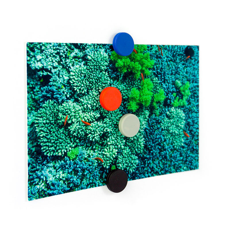 SILIKONE magneter, 4-pak - køleskabsmagneter