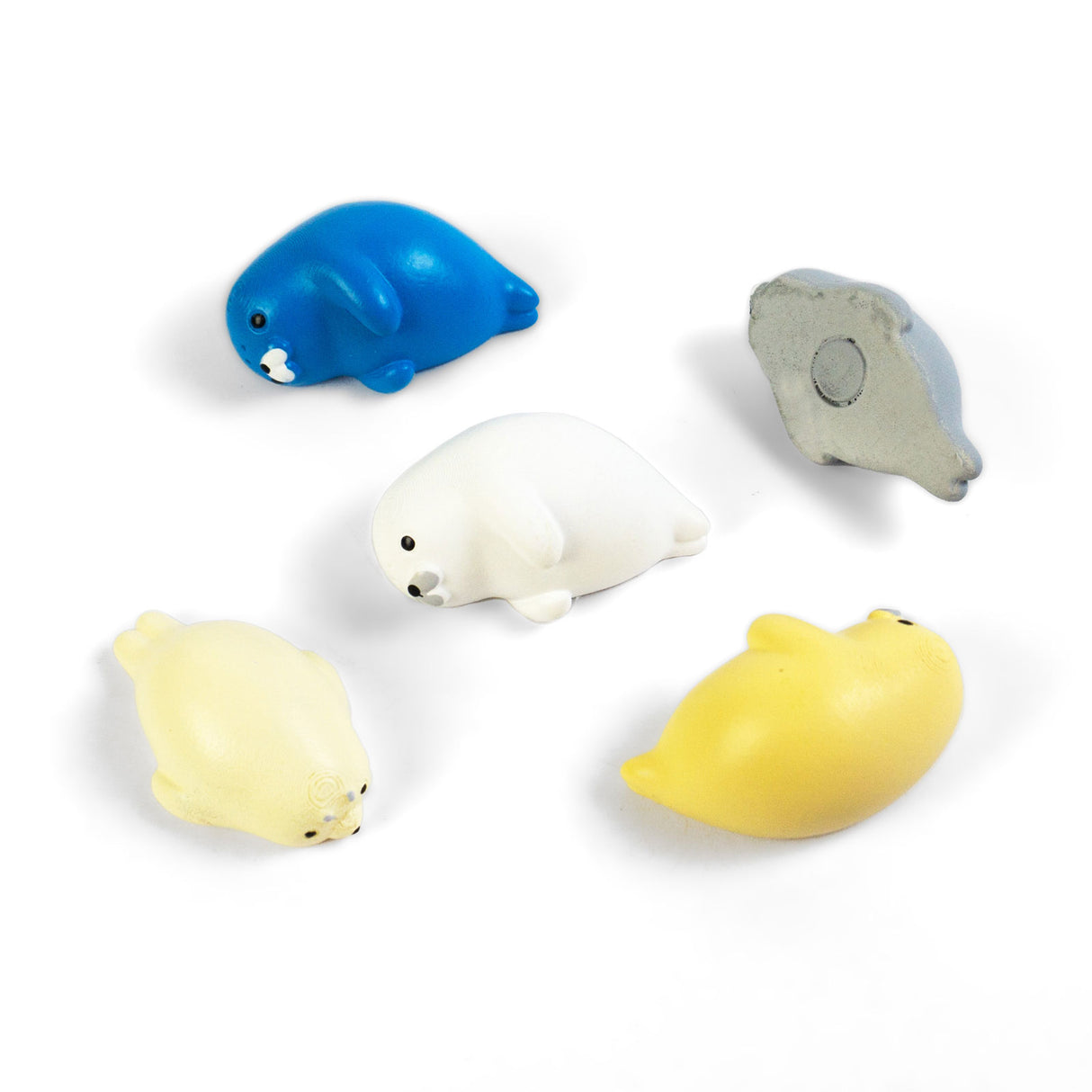 ROBBY sæl magneter 5-pak - køleskabsmagneter