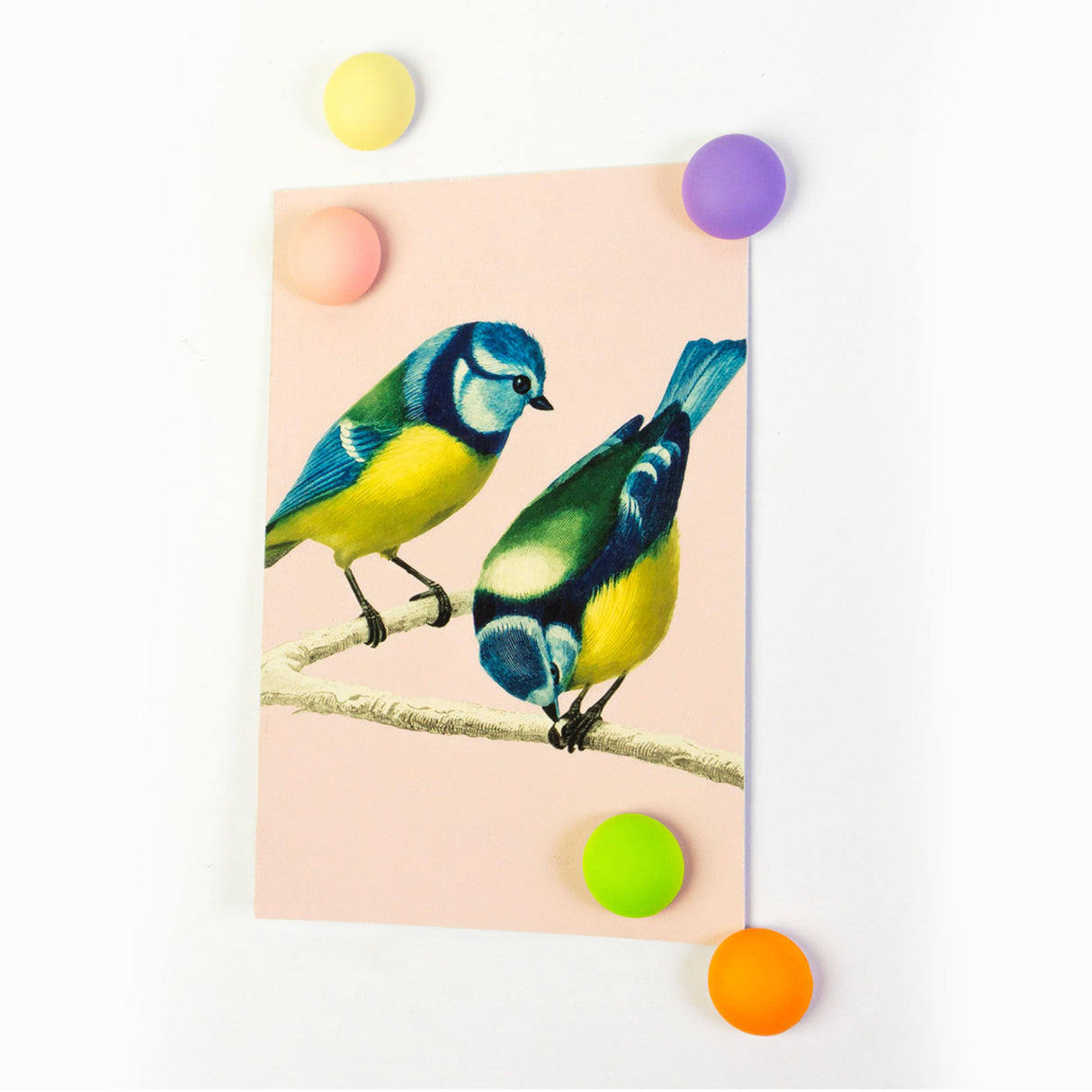 JOY magneter, 5-pak - køleskabsmagneter