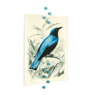 Lav kunst på køleskabet med postkort og blå magneter