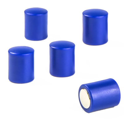 Stavmagneter med plasthætter - 5 pak blå magneter - gode til glastavler