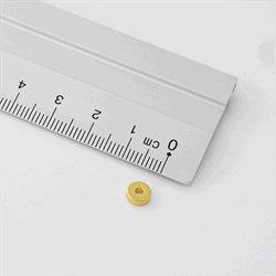 Power magnet, Ring 6x2x2 mm., Guld