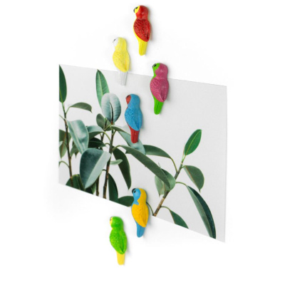 Gør køleskabet mere farverigt med de håndmalede papegøje magneter