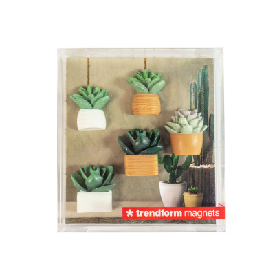 Kaktus magneter sælges i æske, og det gør dem til en rigtig fin værtindegave. Fra Trendform