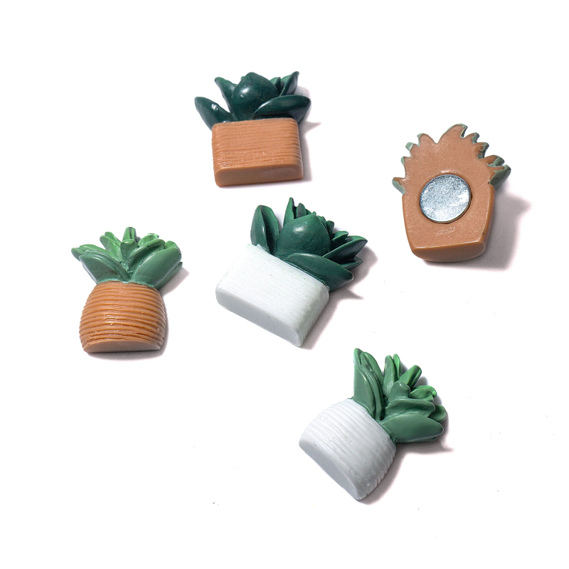 Kaktus magneter, 5-pak - køleskabsmagneter