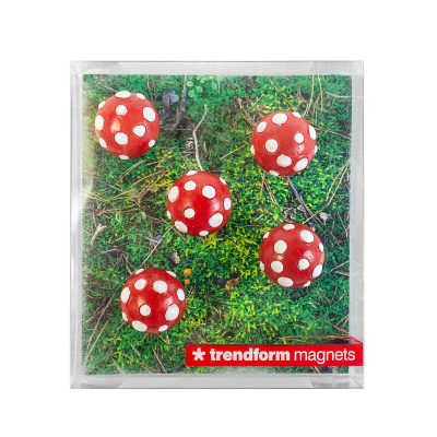 Alle magneter fra Trendform leveres i fine gaveæsker - også disse FA4545 MUSHROOM magneter