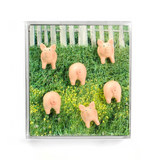 Piggy grise, 6-pak - køleskabsmagneter