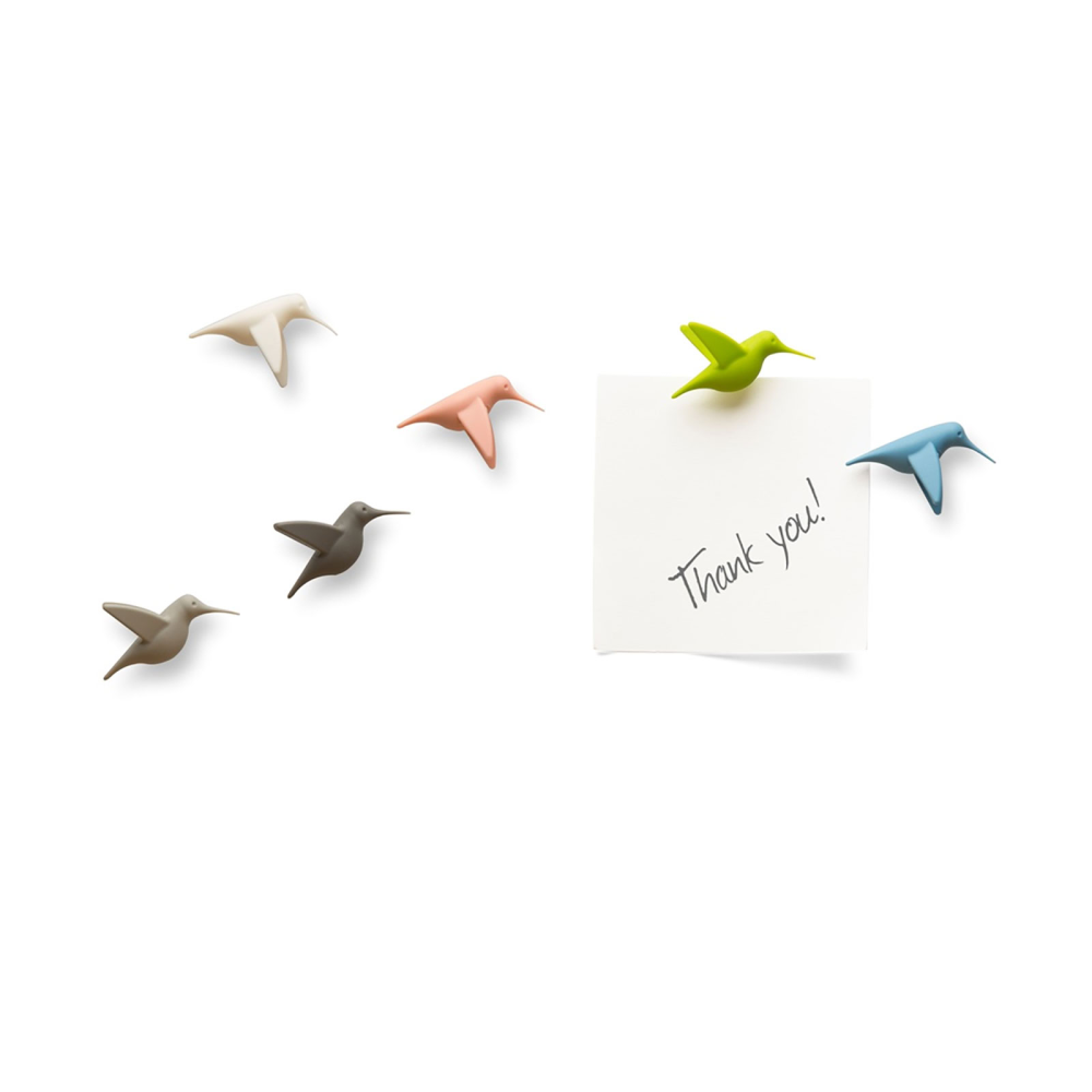 Hummingbird pastel, 6-pak - køleskabsmagneter