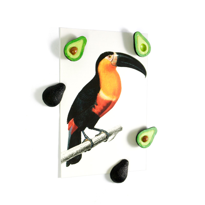 Avocado magneter, 5-pak - køleskabsmagneter